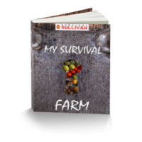 My Survival Farm
